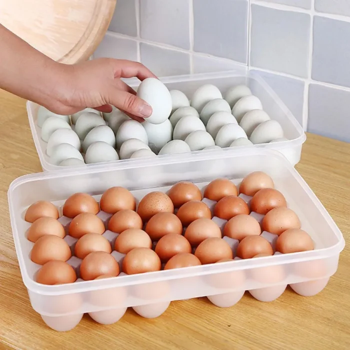 34 Gird Egg Storage Box 1