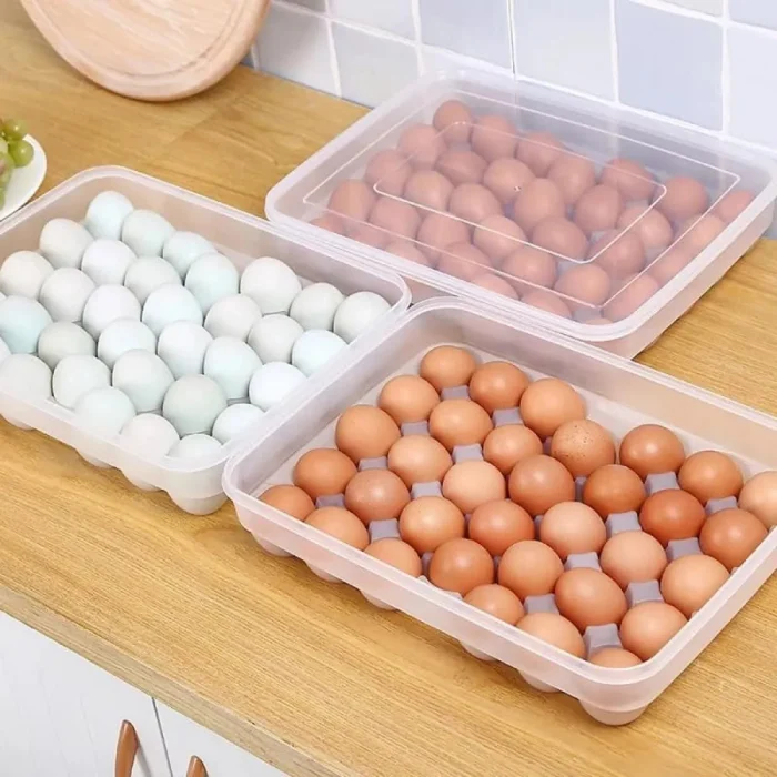 34 Gird Egg Storage