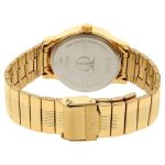 Titan Analog with Day and Date Champagne Dial Metal Strap watch for Men (NS-1580YM05) Price In Bangladesh - Image 2